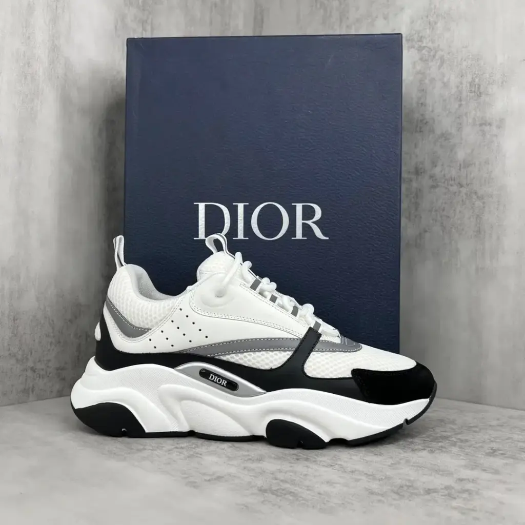 DIOR  B22